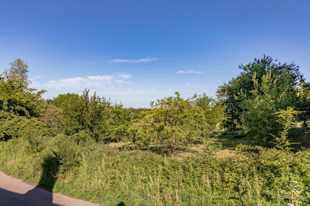Danny Lodge - Country Cottage Near Brighton By Huluki Sussex Stays Hurstpierpoint Bagian luar foto