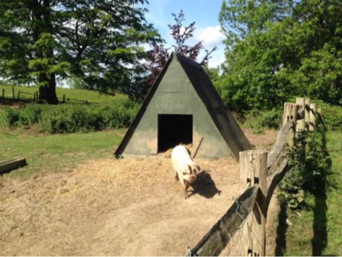 Danny Lodge - Country Cottage Near Brighton By Huluki Sussex Stays Hurstpierpoint Bagian luar foto